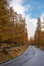 Empty Rural road in the Italian alpine mountains  during autumn Royalty Free Stock Photo