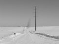 Empty Rural Winter Road