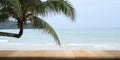 Empty rustic desk with beautiful tropical ocean with coconut tree in the background