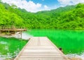 Empty Rustic quay at idyllic rainforest lake with product donation space, beauty in nature background