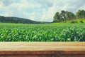 Empty rustic table in front of countryside background. product display and picnic concept.