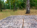 Empty rustic table in front of countryside background. Empty space of green forest. Wood table top in front of of trees in the for Royalty Free Stock Photo