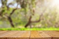 Empty rustic table in front of green spring abstract bokeh background. product display and picnic concept.