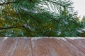 Empty rustic wood table top on christmas tree branches background with spider web in forest. Can montage or display your products Royalty Free Stock Photo