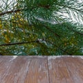 Empty rustic wood table top on christmas tree branches background with spider web in forest. Can montage or display your products Royalty Free Stock Photo