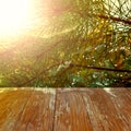 Empty rustic wood table top on christmas tree branches background with spider web in forest. Can montage or display your products Royalty Free Stock Photo