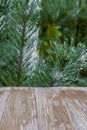 Empty rustic wood table top on christmas tree branches background with spider web in forest. Can montage or display your products Royalty Free Stock Photo