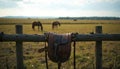 Empty Saddle On Rustic Fence Facing Open Pasture And Distant Horses Royalty Free Stock Photo