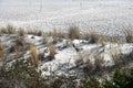 Empty Winter Beach with Fence Royalty Free Stock Photo