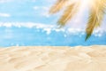 Empty sand beach in front of summer sea and palm tree background with copy space Royalty Free Stock Photo