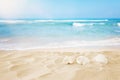 Empty sand beach and shells in front of summer sea background with copy space