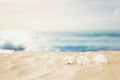 Empty sand beach and shells in front of summer sea background with copy space