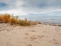 Empty sand dunes of Jurmala beach on Riga gulf, Latvia, Calm and peaceful scene. Nobody, Animals foot prints on the sand. Blue Royalty Free Stock Photo