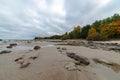 empty sea beach in autumn with lonely trees and rocks in sands Royalty Free Stock Photo