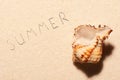 Empty sea shell and summer lettering drawn on sand