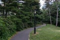 Empty Shaded Path with Green Trees and a Street Light at Central Park during Summer in New York City