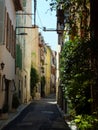 Empty shaded street in Antibes, CÃÂ´te d`Azur, France. Houses covered in greenery and windows with colourful blinds