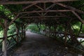 Empty Shaded Trail with a Canopy at Central Park in New York City during the Summer