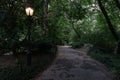 Empty Shaded Trail with Glowing Lights and Green Trees at Central Park in New York City during the Summer