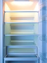 Empty Shelves of Refrigerator or Fridge. Showcase. Diet Keeping. 3d Rendering.