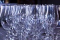 Empty Shiny White Glasses on Bar Royalty Free Stock Photo