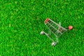 Empty shopping cart on on green grass lawn.