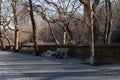 Empty Sidewalk and Benches Outside of Central Park in New York City during the Winter with Trees Royalty Free Stock Photo