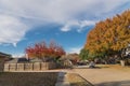 Empty sidewalk and quite neighborhood street with row of suburban house and colorful fall foliage in Texas, USA Royalty Free Stock Photo