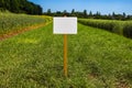 Empty sign in a clearing with fresh grass