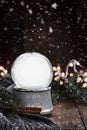 Empty Silver Snow Globe Royalty Free Stock Photo