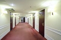 Empty simple light hallway with many wooden doors