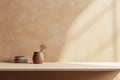 Empty Simple Product Placement Sunny Beige Eco Natural Background