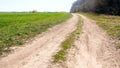 Empty single lane dirt road in countryside running between green meadow and forest plantation. Leading to horizon. Long way Royalty Free Stock Photo