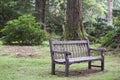 Empty single wooden seat in forest woodlands