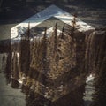 Empty ski lift and pine tree at ski resort Royalty Free Stock Photo