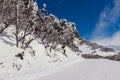 Empty ski run