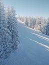 Empty ski slope with blue sky Royalty Free Stock Photo