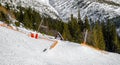 Empty slope and surface lift in resort Chopok Juh at Low Tatras mountains, Slovakia