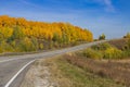 Empty small country paved road with tree on both sides.Autumn landscape.Bright yellow foliage trees Royalty Free Stock Photo