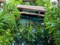 Empty small old wooden bridge in the green garden Royalty Free Stock Photo