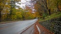 Empty small street at rural area with beautiful colorful maple treees on mountain for background Royalty Free Stock Photo