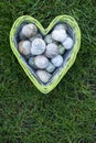 Empty snail shells in a heart-shaped basket