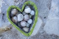 Empty snail shells in a heart-shaped basket