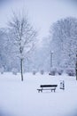 An empty snow-covered park bench near a tree on a winter day. Snow-covered city park, snowfall. Winter landscape Royalty Free Stock Photo