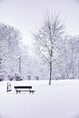 An empty snow-covered park bench near a tree on a winter day. Snow-covered city park, snowfall. Winter landscape Royalty Free Stock Photo