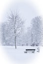 An empty snow-covered park bench near a tree on a winter day. Snow-covered city park, snowfall. Winter landscape. Vignette Royalty Free Stock Photo