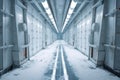 empty, snow-filled corridors of a research base