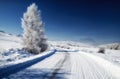 Empty snowy road