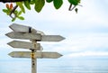 Empty space background on many old white blank wooden direction road signs under the tree on sea and sky background. Royalty Free Stock Photo