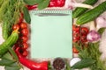 Empty space for copying the recipe book. View from above. Royalty Free Stock Photo